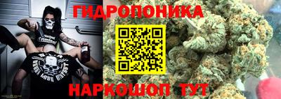 хмурый Кингисепп
