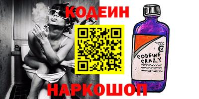 хмурый Кингисепп