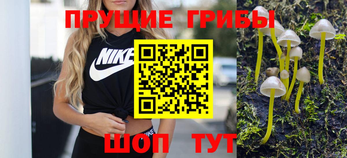 Псилоцибиновые грибы мухоморы Кропоткин